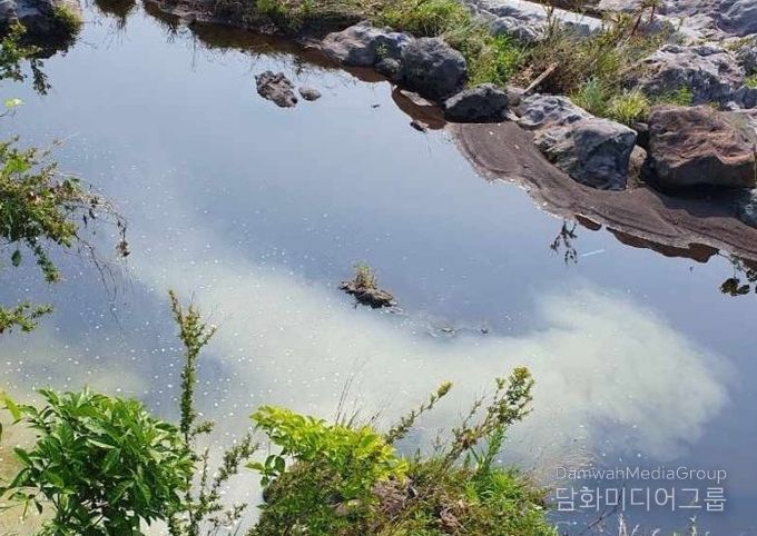 농번기 대비 공공수역 수질오염 예방 특별 점검