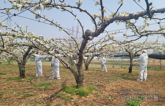 봄철 이상기후 선제 대응…원예작물 생육안정화 총력