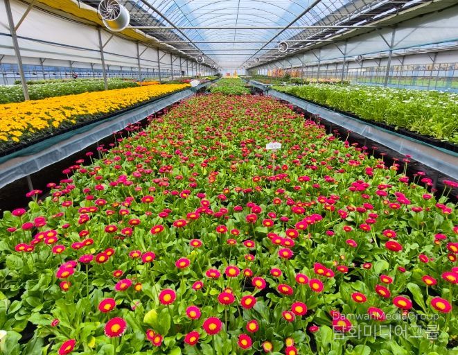 순천시, 도심 곳곳 봄꽃 물결