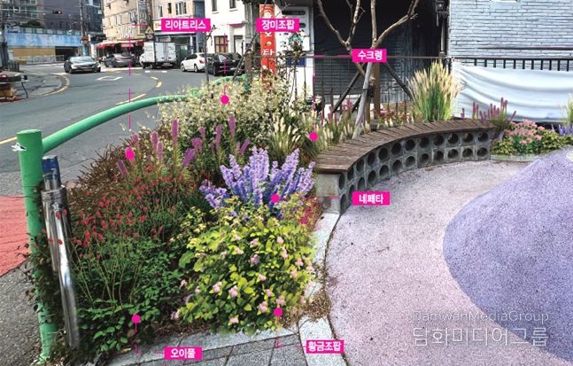 부산 중구, ‘정원속의 도시 부산’실현을 위한 생활 속 정원 조성 본격 추진