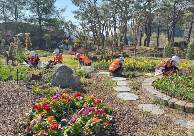 합천군, 봄맞이 녹지공간 정비‘박차’…도심 곳곳 생기 더한다