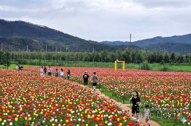 안동포타운, 안동포세대공감페스타 개최