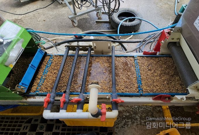 볍씨 파종기를 이용한 종자 파종 모습