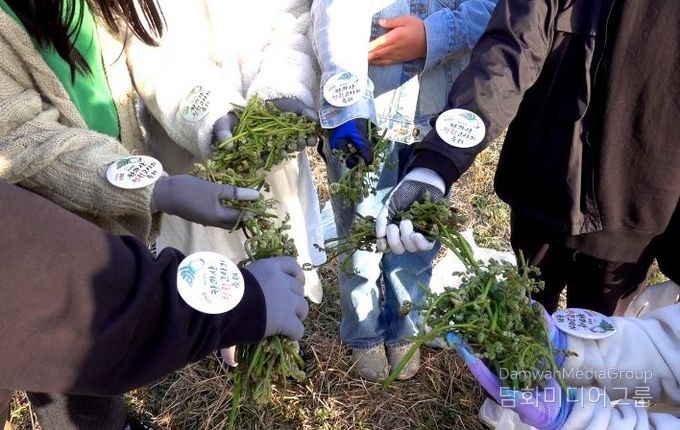 2025년 고사리 축제