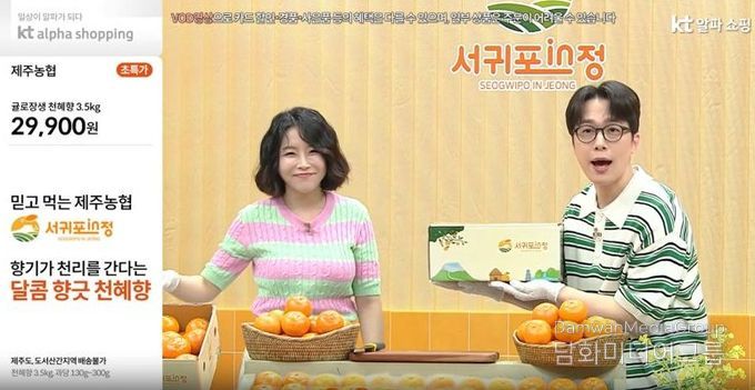 천혜향 홈쇼핑 방송