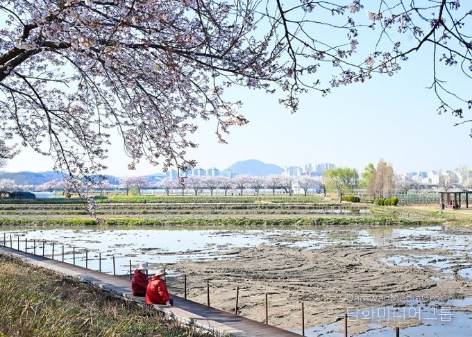 아름다운 우리 시흥시_연꽃테마파크