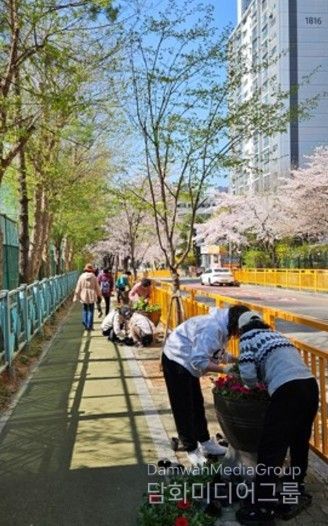 고양시 행신3동, 초화류 식재로 아름다운 꽃길 조성