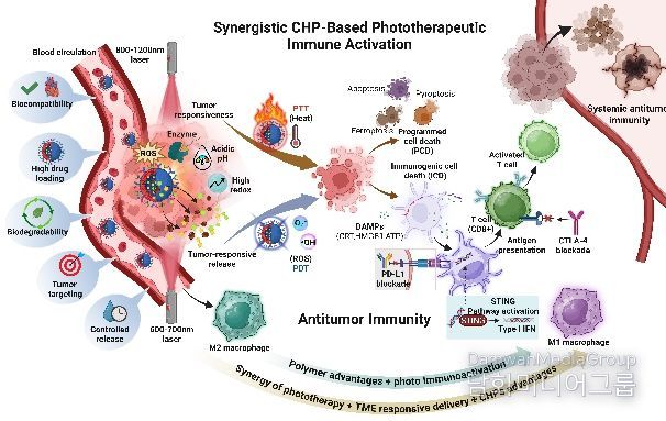차세대 암 광면역치료 로드맵 제시