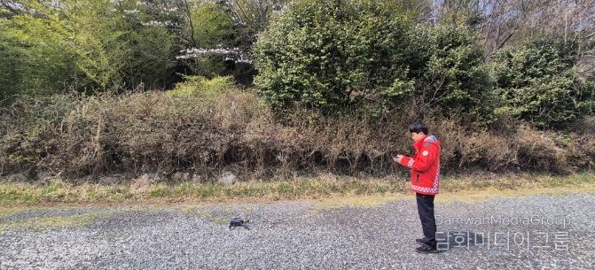 산불드론감시단 현장