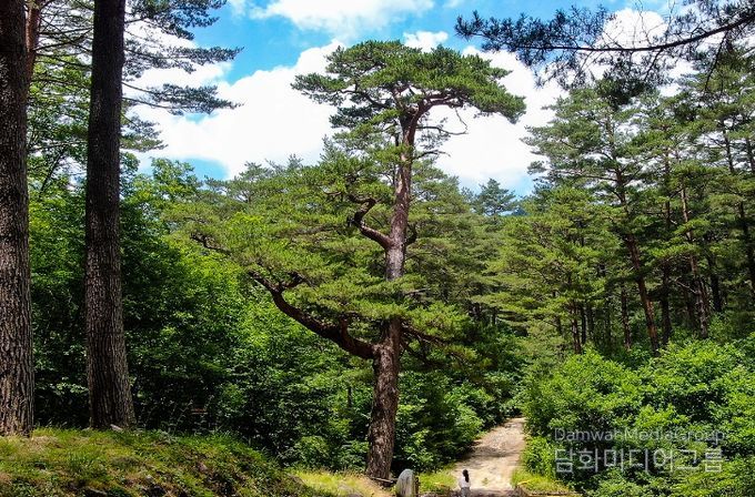 봉화·울진 체류형 트레킹 여행