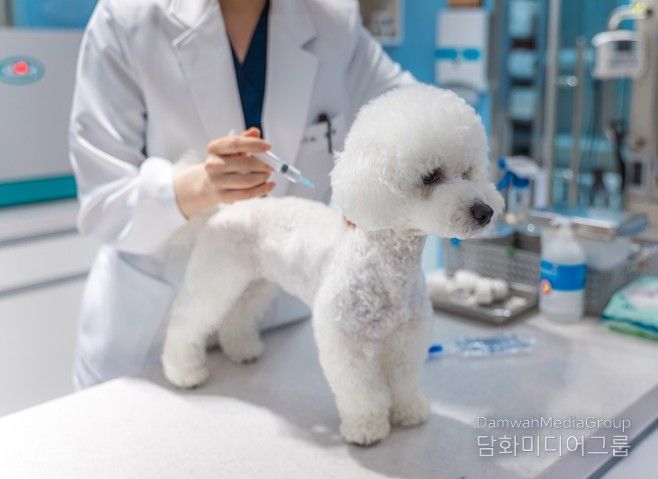 광견병 예방접종