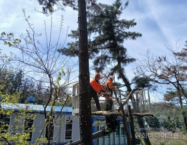 포항시가 태풍과 집중호우 등 재해로부터 시민의 생명과 재산을 보호하기 위해 ‘2026년 상반기 재해위험목 제거사업’을 본격 추진한다.