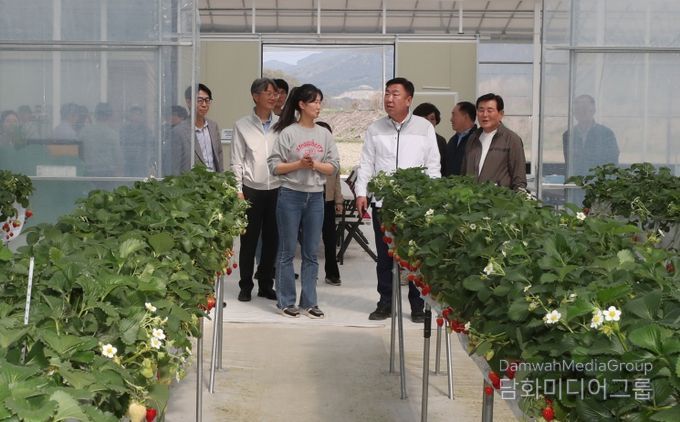 이범석 청주시장, 청년 창업농 딸기재배 현장 방문