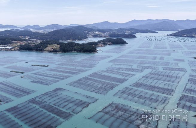 완도 다시마 양식장 전경