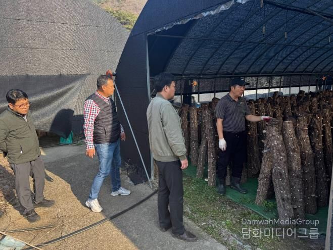 표고버섯 컨설팅