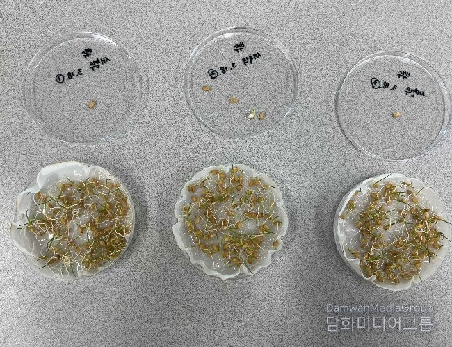 건강한 모 키우기의 시작, 종자 발아율 검사